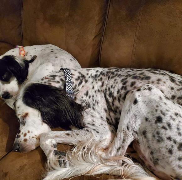 Meet your Posher, Brandee - Picture 1 of 1